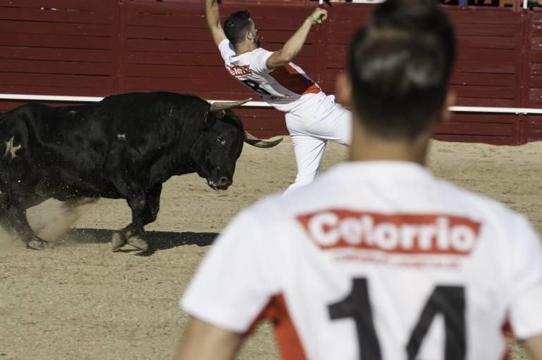 Concurso de cortes en la Plaza de Toros de Benaven