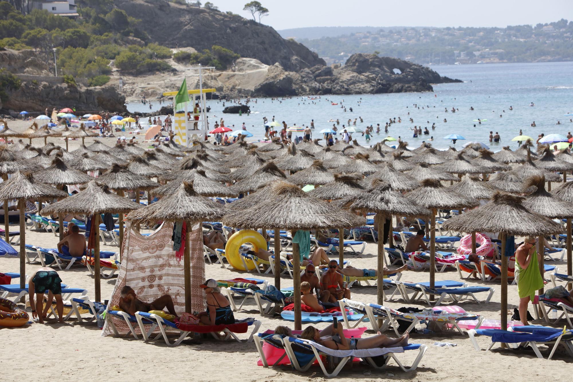 Sommer in Peguera: So genießen die Mallorca-Urlauber das Leben am beliebten Badestrand