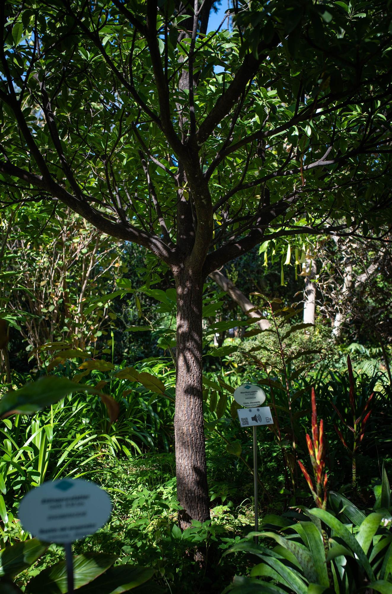 Reapertura Jardín Botánico