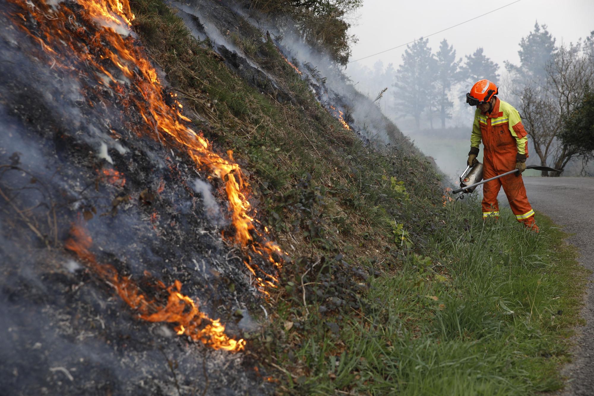 Bomberos de Asturias atrapando el fuego entre Naraval y Paredes