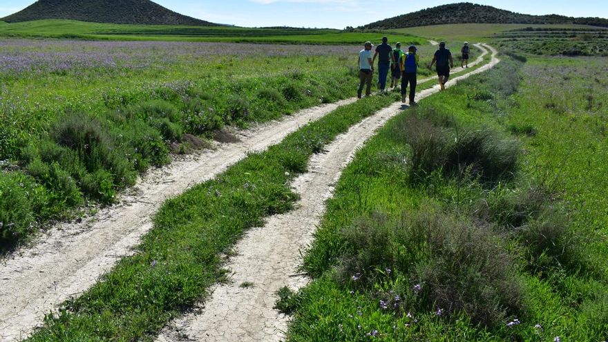Los montes de Lorca se preparan para el verano