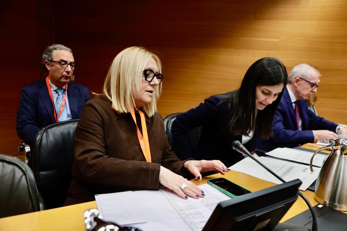 Asociaciones de víctimas declaran en la Comisión de la dana en las Corts