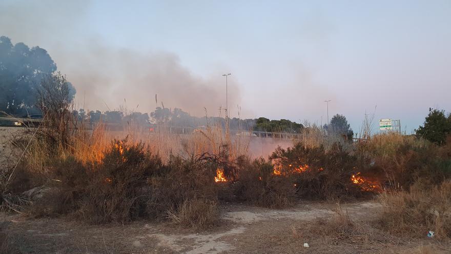 Los Bomberos controlan un incendio en un cañar junto a la autovía en Alicante