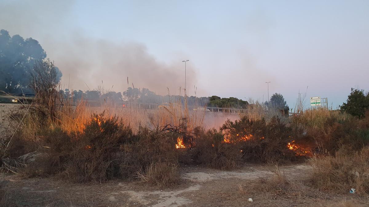 Los Bomberos de Alicante controlan un fuego en un cañar junto a la autovía