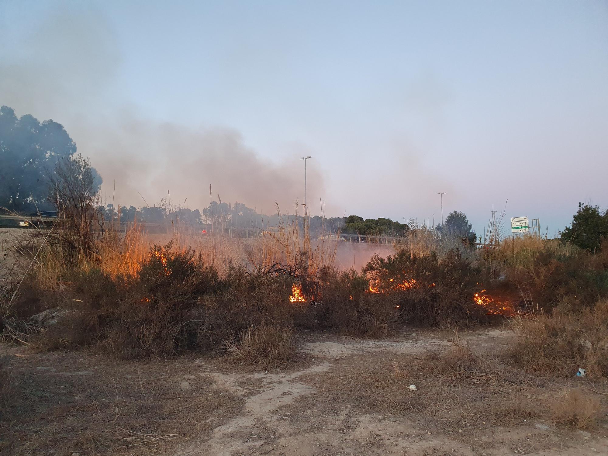 Los Bomberos de Alicante controla un fuego en un cañar junto a la autovía