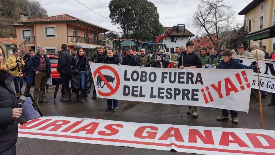 Protesta por la protección del lobo, a principios de marzo, en la feria de Corao.