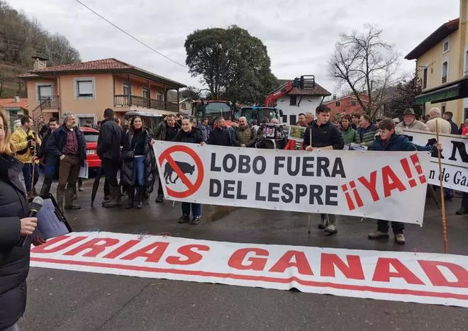 Los ganaderos asumen que el Ministerio está decidido a mantener la protección del lobo