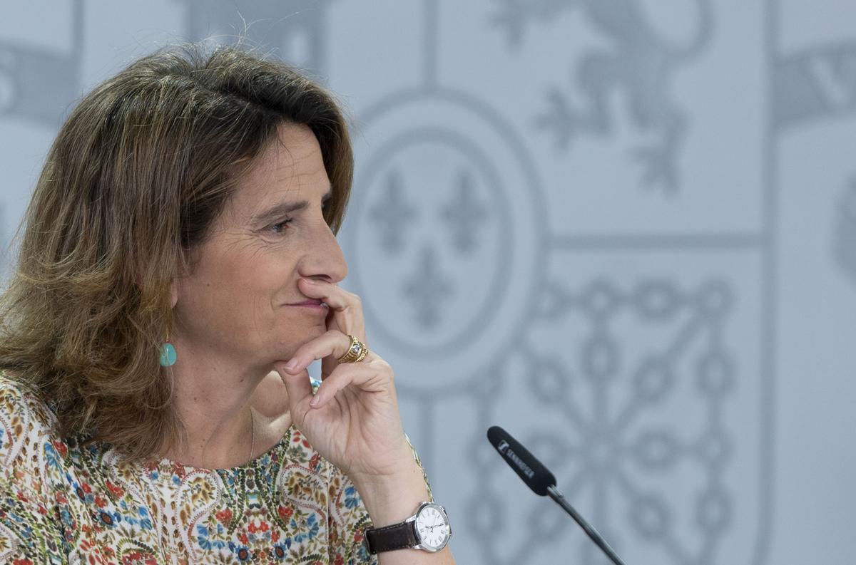 La vicepresidenta tercera y ministra para la Transición Ecológica y el Reto Demográfico, Teresa Ribera, durante una rueda de prensa posterior a la reunión del Consejo de Ministros, en el Palacio de la Moncloa, a 9 de julio de 2024, en Madrid (España). El