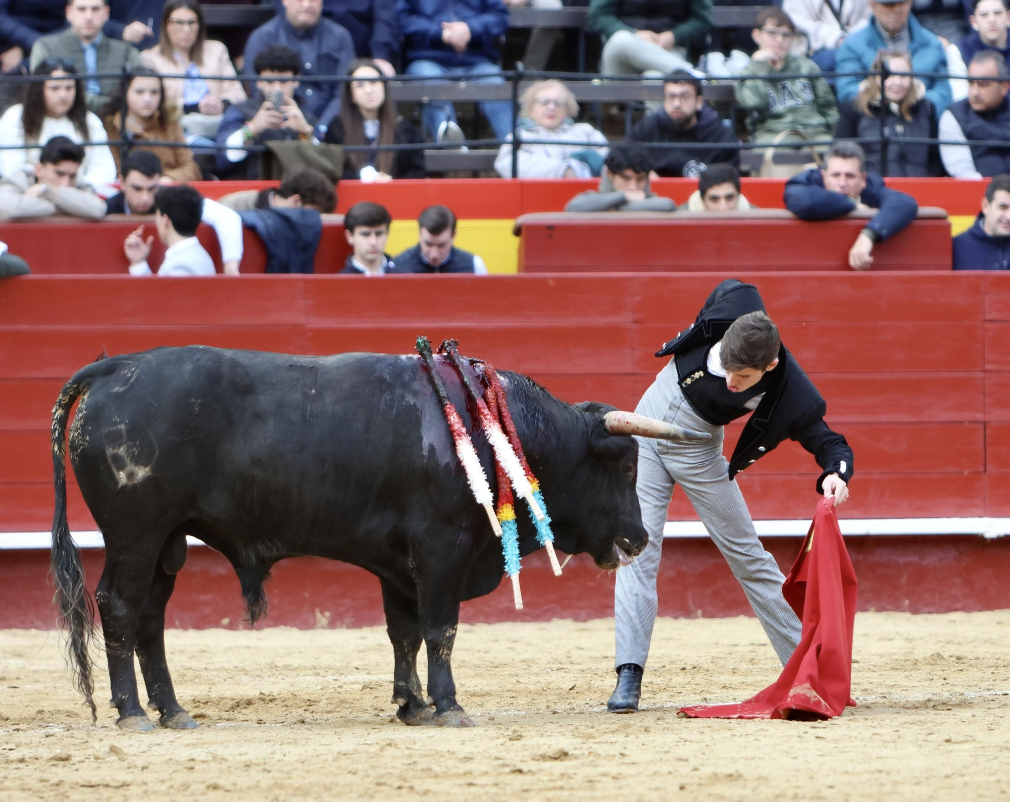 Javier Cuartero brilla en València y marca la diferencia en el cierre del ciclo de novilleros de la Feria de Fallas