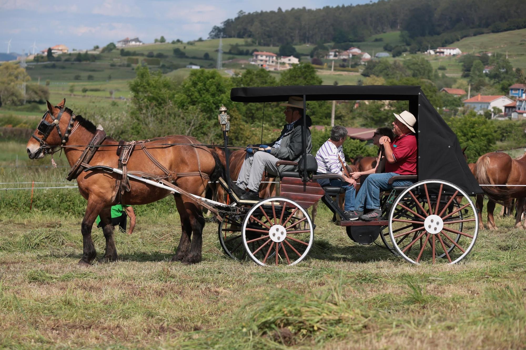 Marea verde en Llanera: el campo tomó la calle con el espectacular desfile de carros y animales