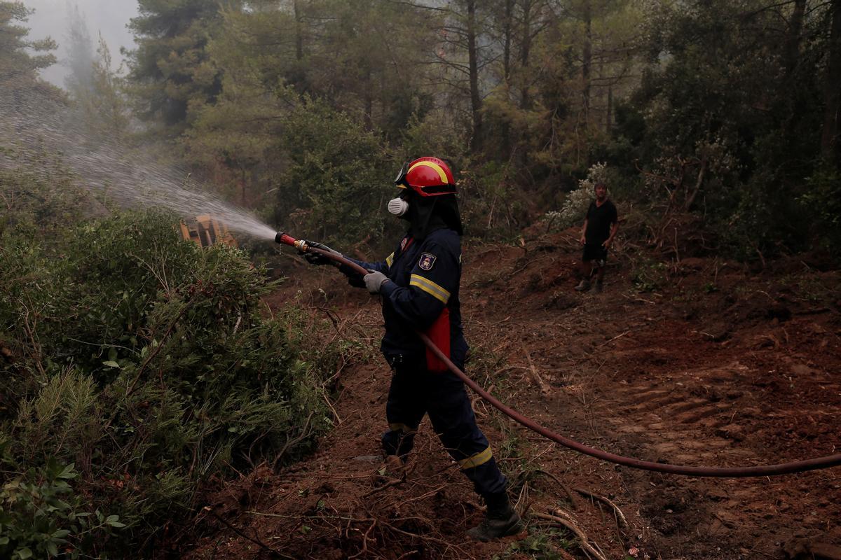 Bomberos griegos luchan contra las llamas.