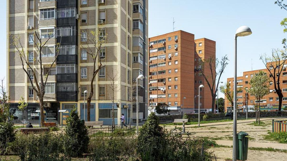 Una de las dudas más habituales en torno a ellos es el color: ¿por qué se optó por el verde?