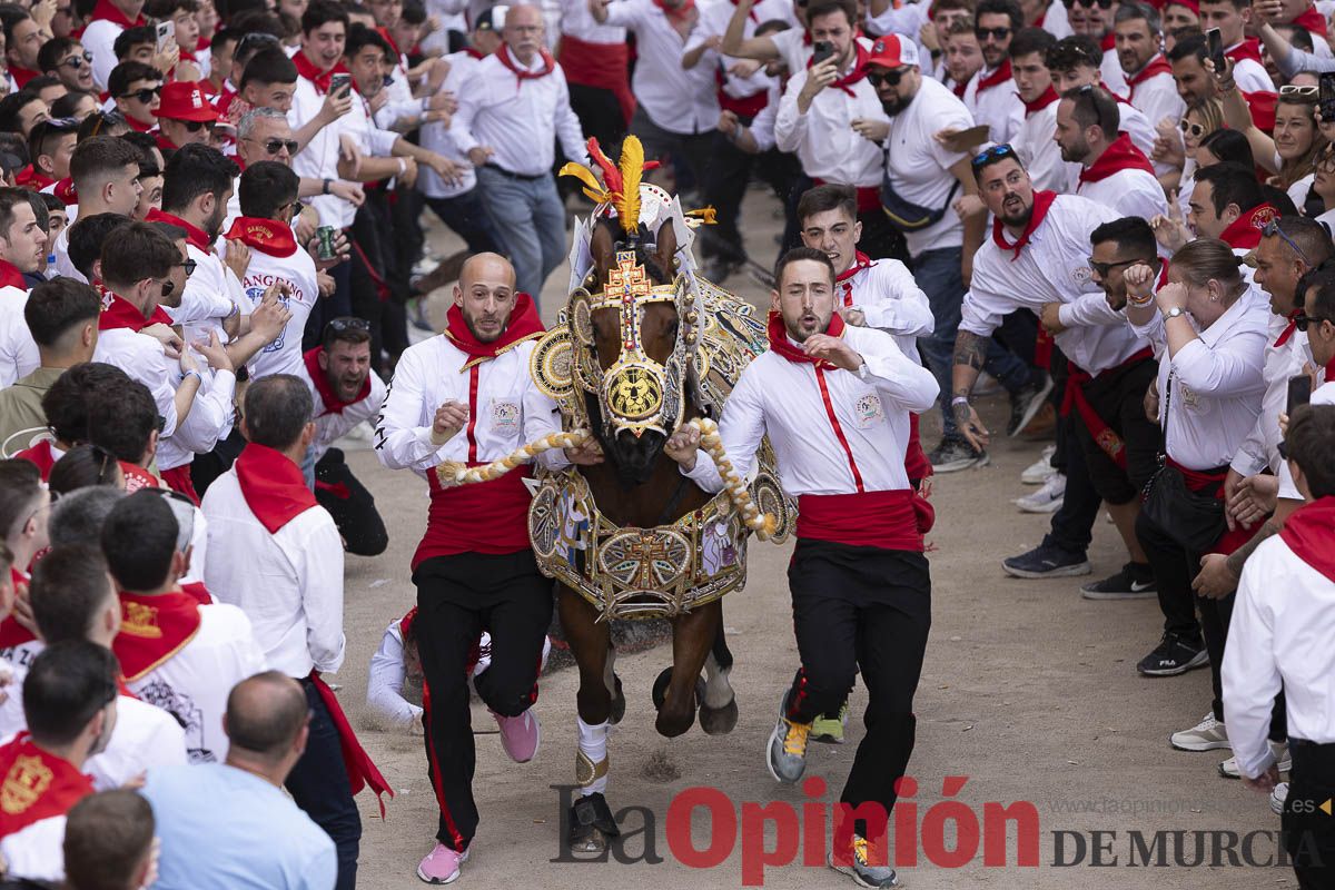 Así se ha vivido la carrera de Los Caballos del Vino en Caravaca