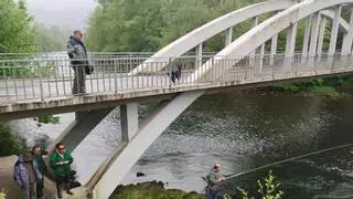 Arranca la búsqueda del Campanu en Asturias con mucha expectación y la sensación entre los pescadores de que cada vez "hay menos salmones”
