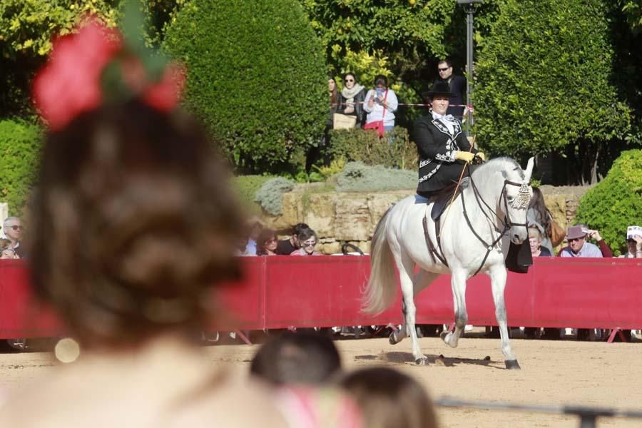 Caballos en el Alcázar