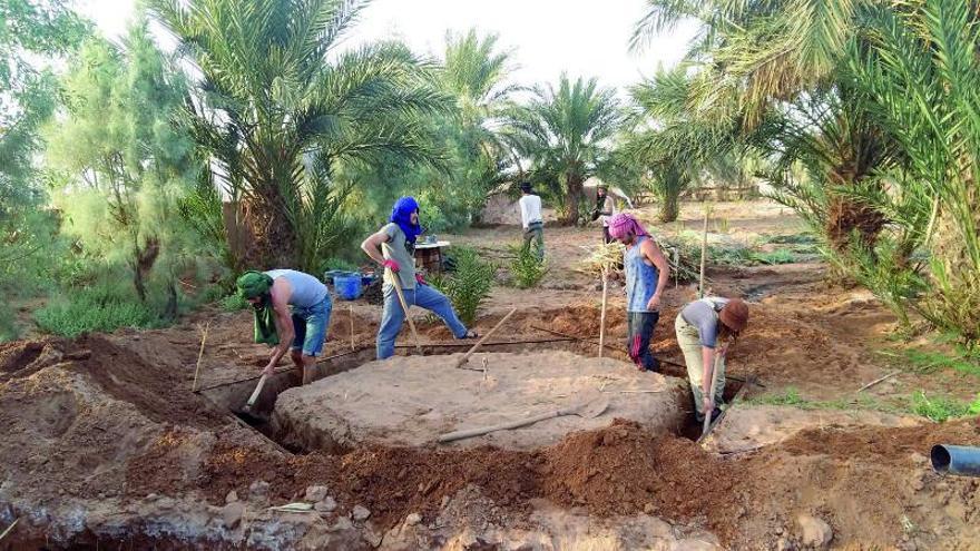 El nigranés que planta bosques en el desierto