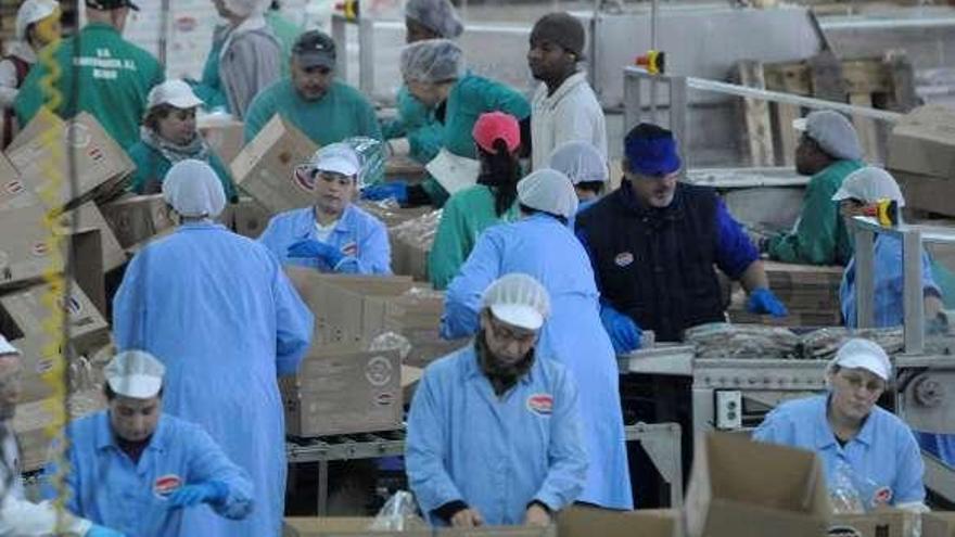 Trabajadores de una planta de ultracongelados.  // Gustavo Santos