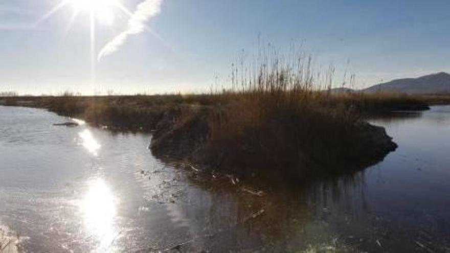 Agua para rescatar el Marjal dels Moros