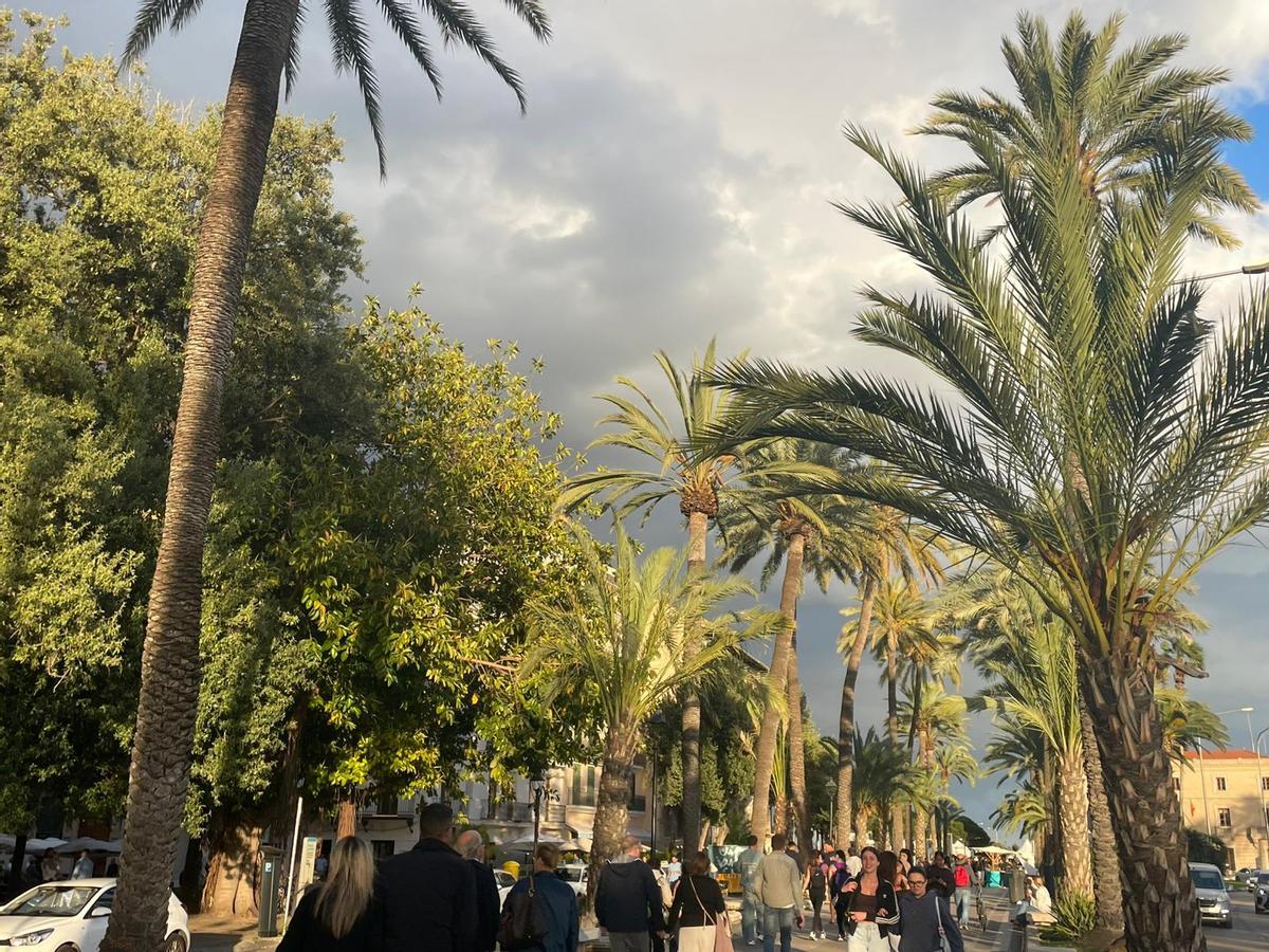 So sah es am Samstagnachmittag in der Innenstadt von Palma aus.