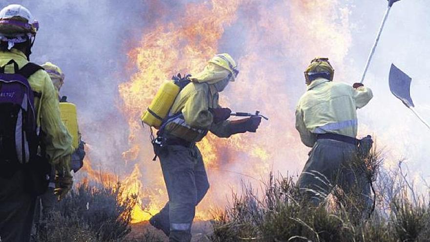 Las cámaras servirán para prevenir los incendios forestales en la comarca sanabresa.