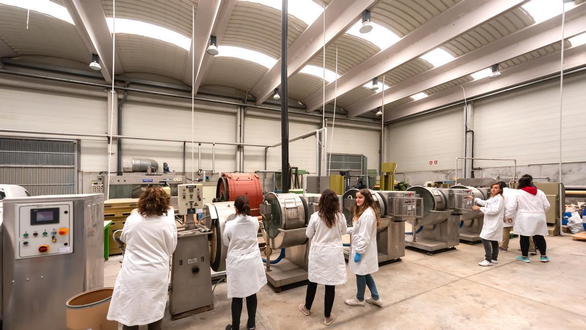 Màster en Enginyeria del Cuir