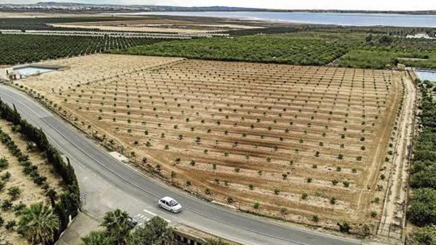 Imagen de la zona propuesta para la planta de residuos.