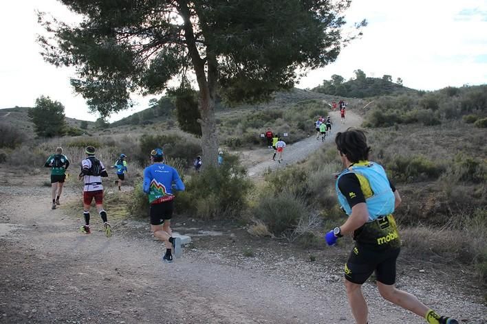 San Jorge Dragon en La Alcayna