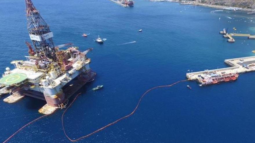 Encuentran un pez invasor en Tenerife que pudo llegar en el casco de una plataforma petrolífera