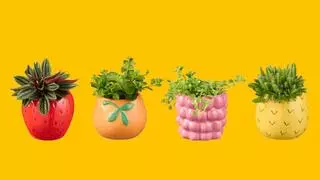 Este fin de semana Lidl lanza sus mini plantas coleccionables con macetas “tutti frutti”: cuestan solo 2,99€