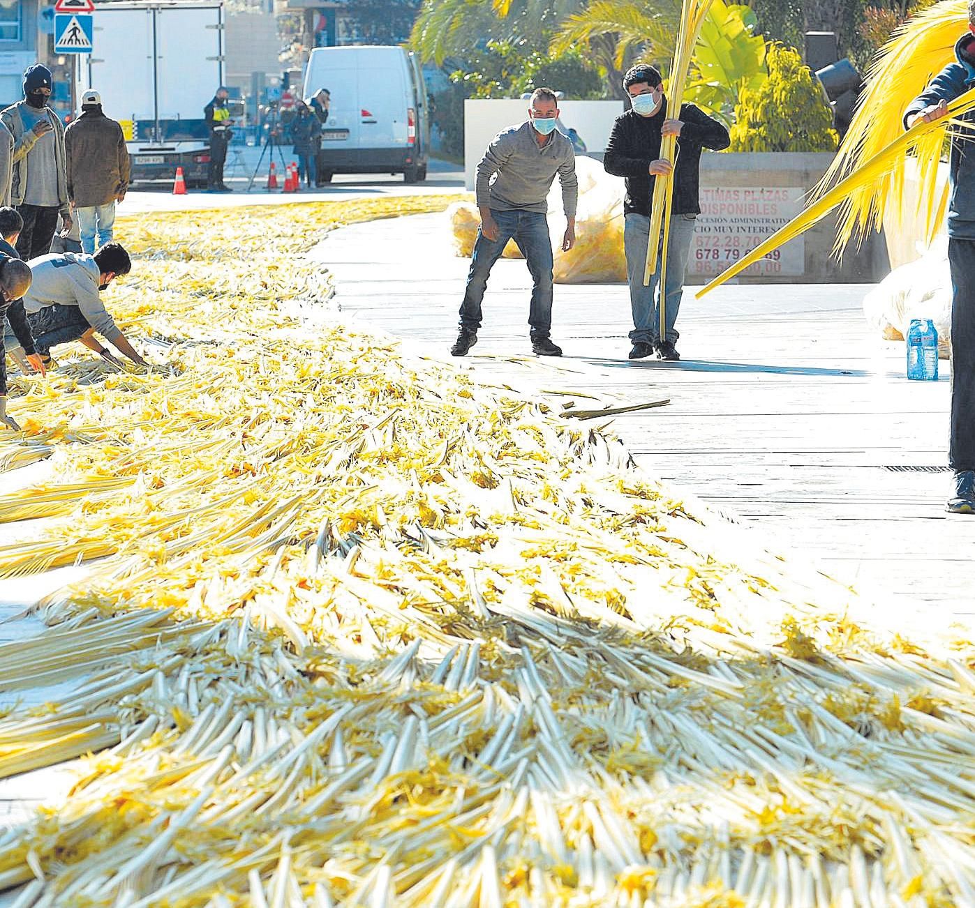 Las palmas están extendidas en el suelo del Paseo de la Estación de Elche desde ayer.