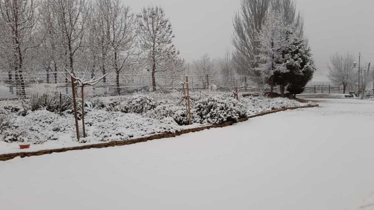 Nieve en Inazares (Moratalla).