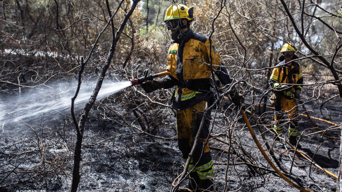 Incendio forestal en Ibiza