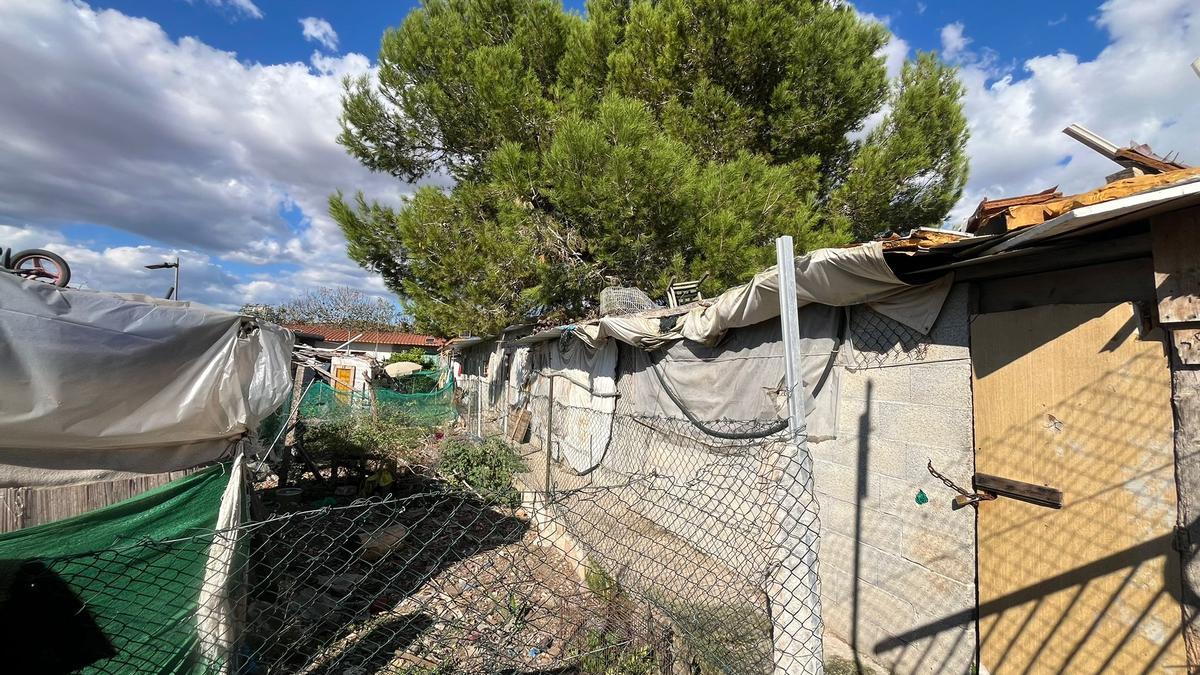 FOTOS | Las chabolas insalubres en Manacor, en imágenes