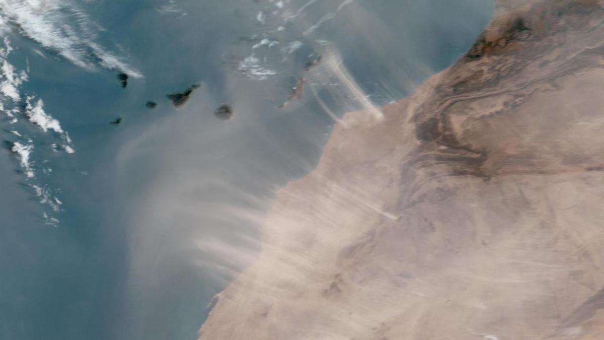 Calima este viernes en Canarias en una imagen satelital.