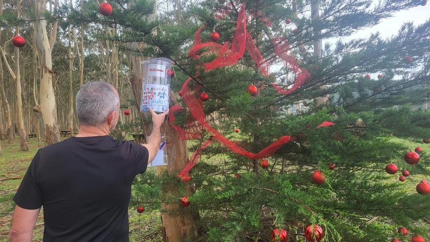 El misterioso árbol navideño de los deseos que sorprende en Rodiles