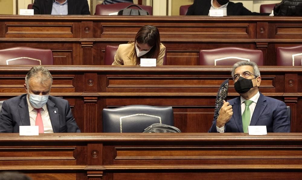 Pleno del Gobierno de Canarias.