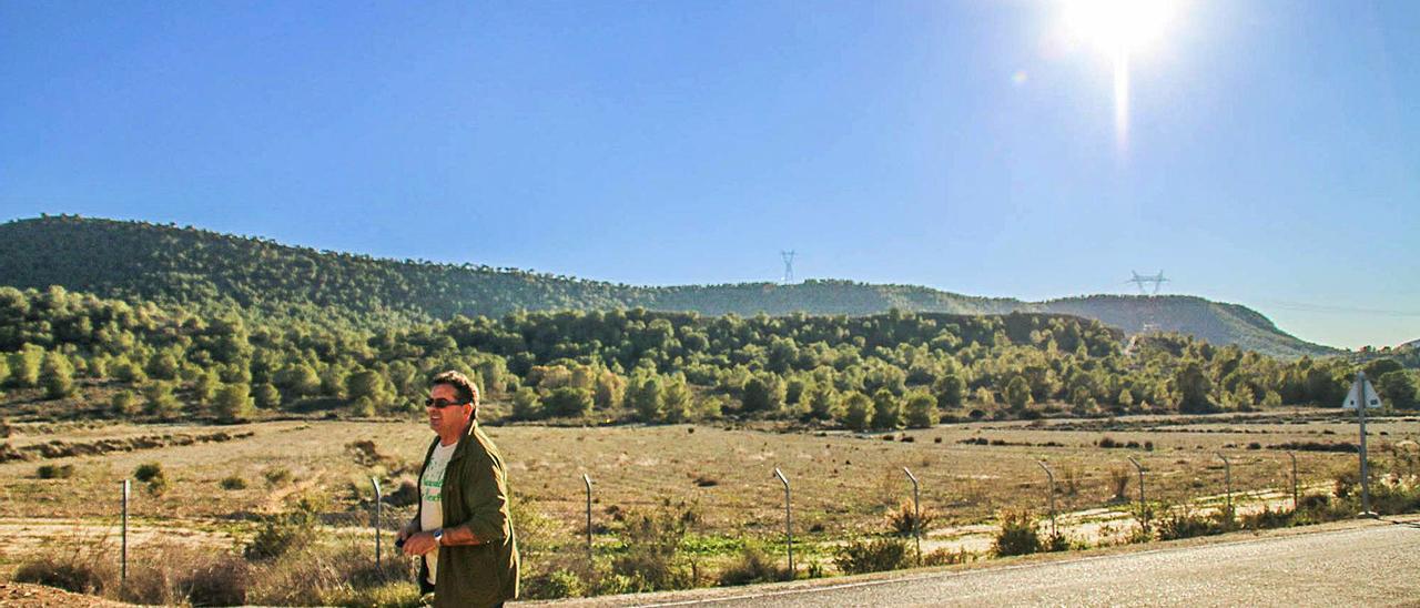 Umbría de Sierra Escalona, uno de los parajes mejor conservados del Paisaje Protegido.  | TONY SEVILLA