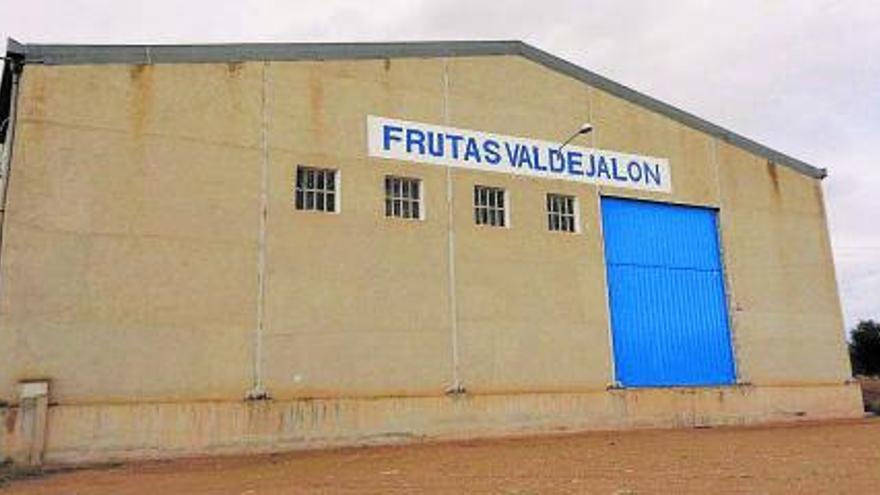 Frutas Valdejalón SL se dedica a la producción, conservación y envasado de fruta. | SERVICIO ESPECIAL