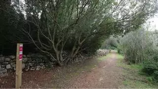 Pueblos de Ibiza: Sant Joan destina casi 184.000 euros a renovar varios caminos rurales