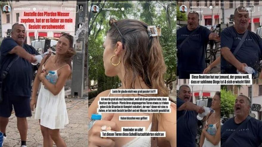 "Das ist eine deutsche Neonazi": Kutscher in Palma beschimpft und attackiert Mallorca-Urlauberin
