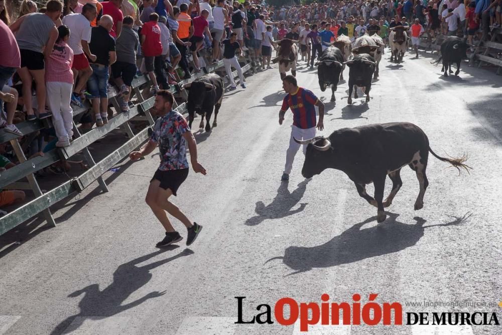 Segundo encierro de Calasparra