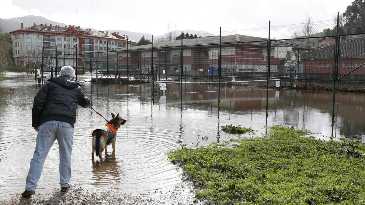 La crecida del río Miñor provoca inundaciones a su paso por Gondomar