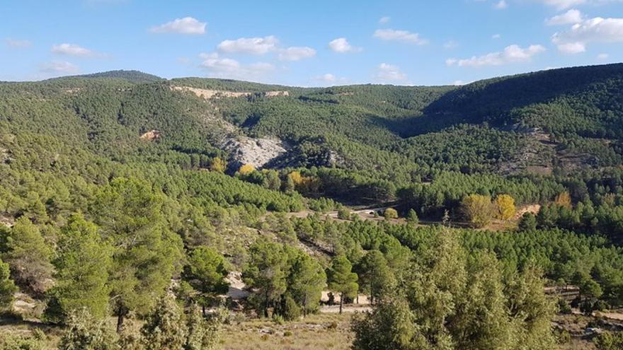 Rescatan a un hombre tras perderse durante 24 horas en Requena