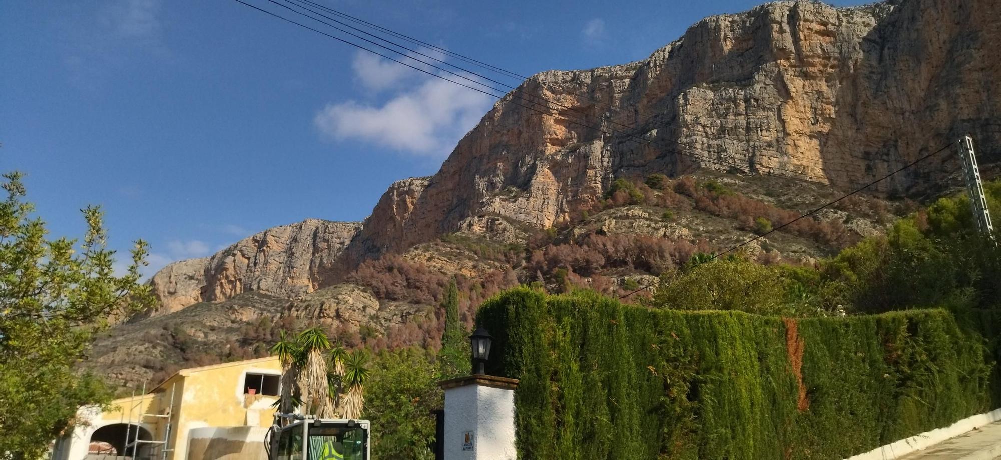 El Montgó, tras las lluvias: contraste entre el verde y el marrón de los pinos muertos