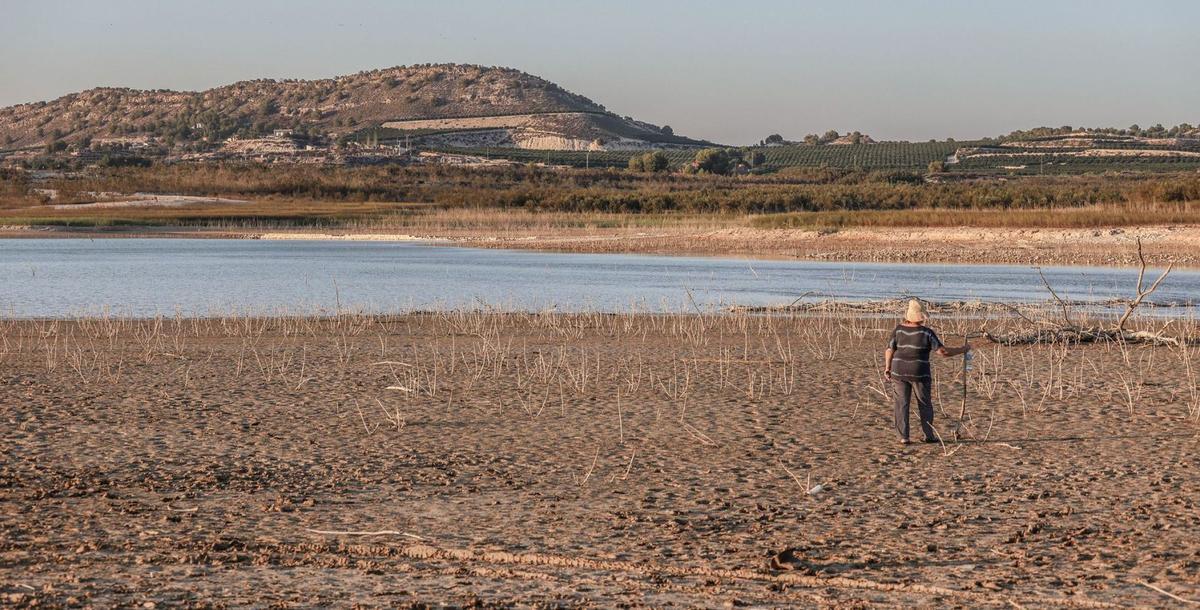 Zona de la provincia de Alicante afectada por la sequía. | TONY SEVILLA