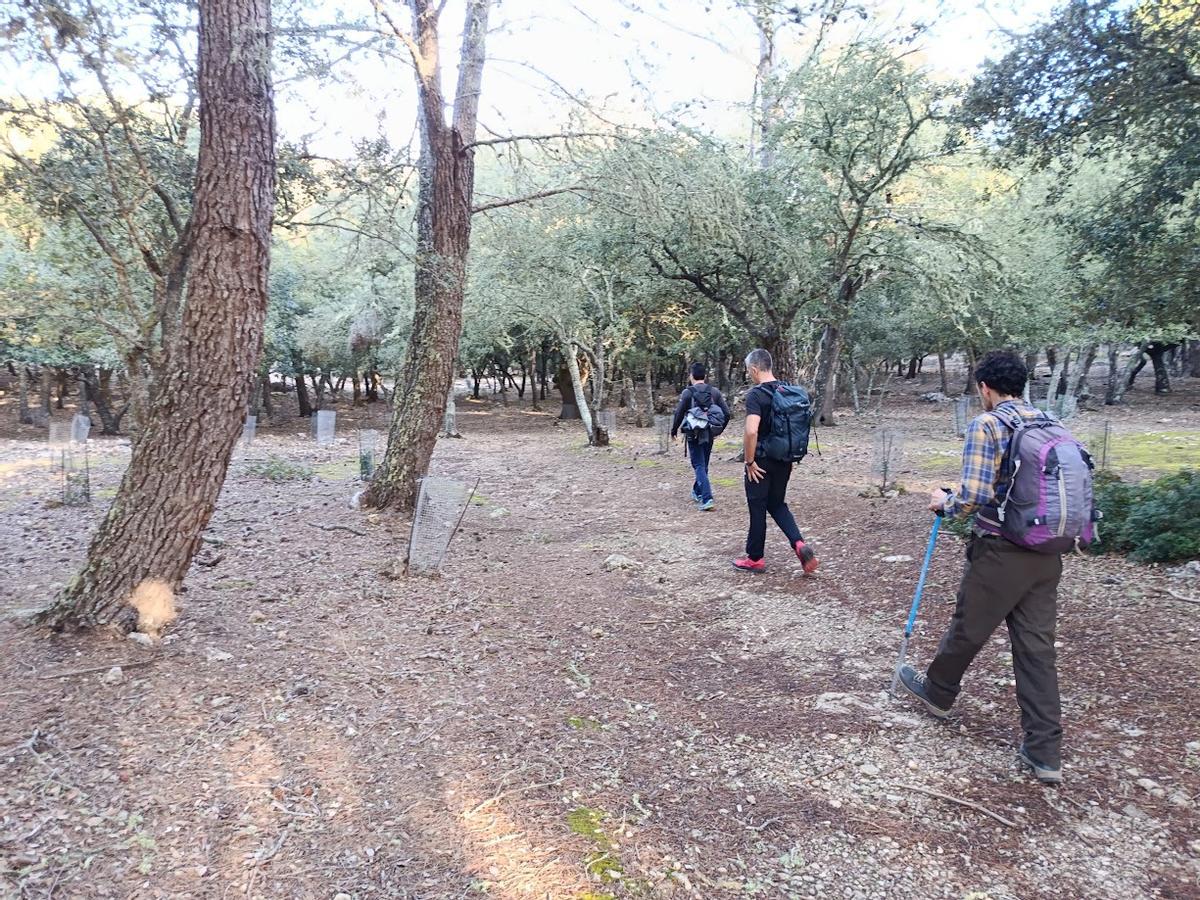 El excursionismo será regulado en el articulado de la ley de la Serra.