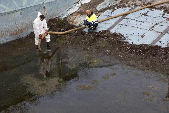 El inicio de los trabajos para dragar las piscinas de la Laboral, en imágenes