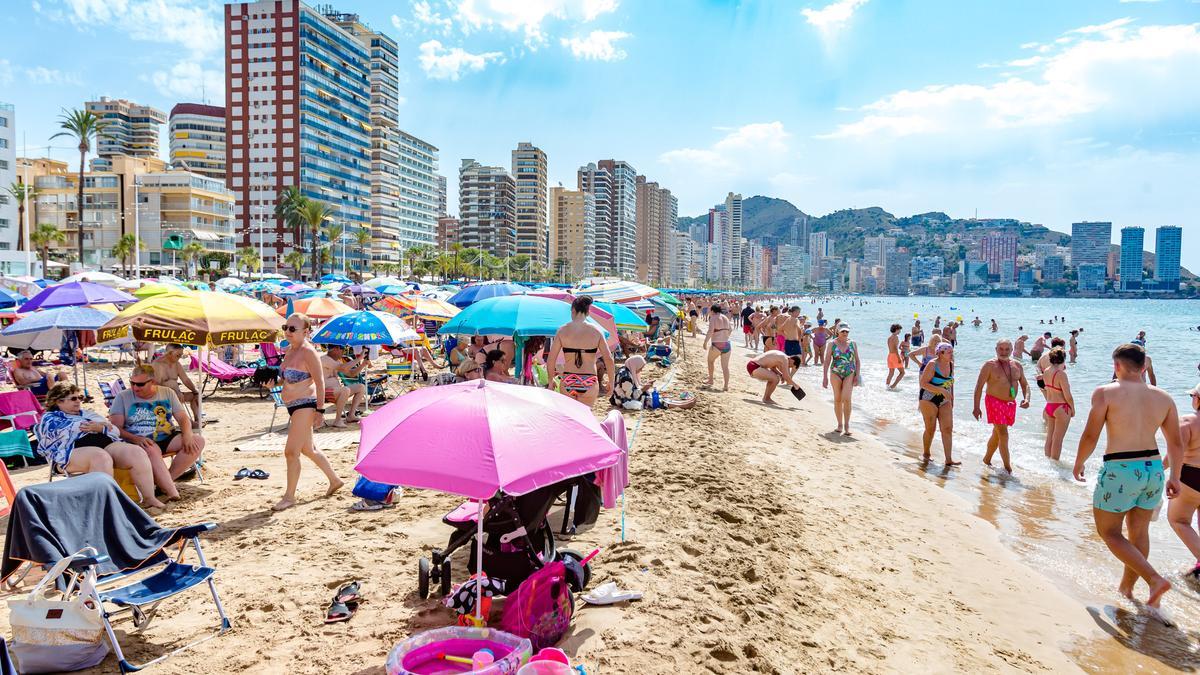 Imagen de la playa de Levante de Benidorm, llena hasta los topes, durante este mes de julio.