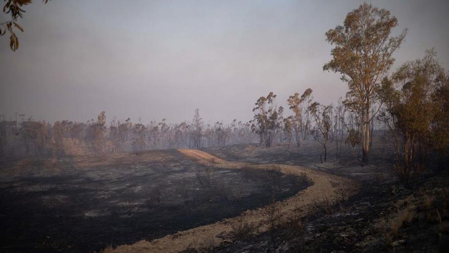 Última hora y actualidad sobre los incendios en España