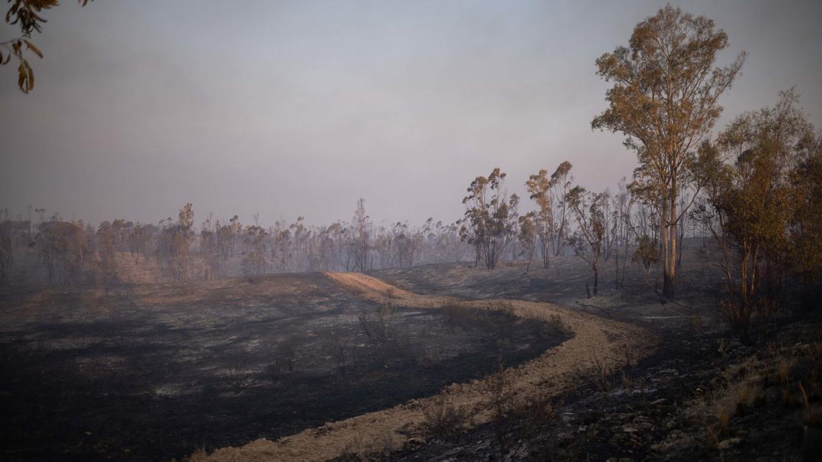 Última hora y actualidad sobre los incendios en España Última hora y actualidad sobre los incendios en España